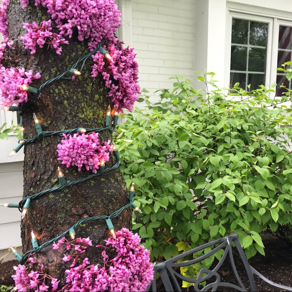 Meet your Posher, Patricia